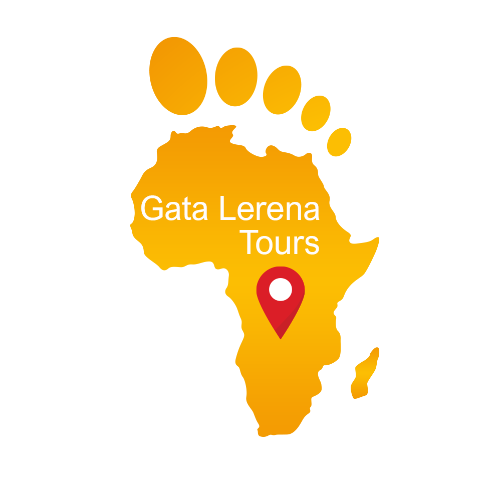 Gata-Lerena-LOGO-png